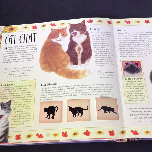 Catopia A Cat Compendium Big book of cat treasures & fun by Anne Mortimer 2007 - Picture 10 of 16